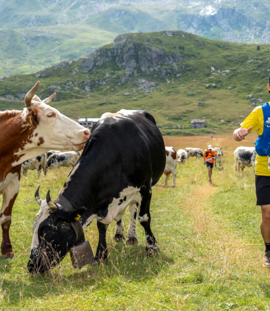 Crédit : Lucile Faraut