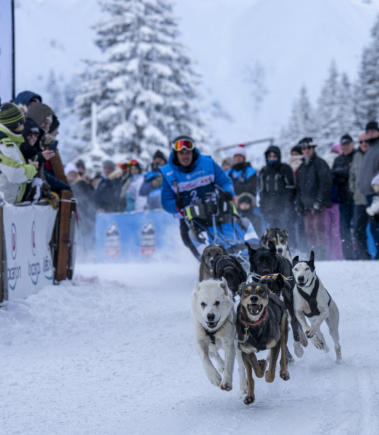 Crédit : Benoit Diacre