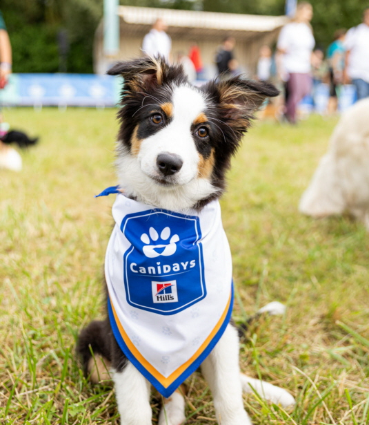 Crédit: Lola Ledoux